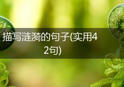 描写涟漪的句子(实用42句)