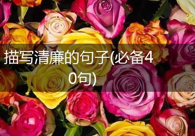 描写清廉的句子(必备40句)