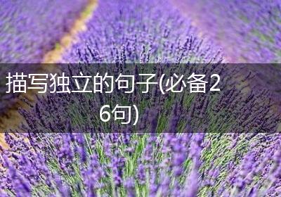 描写独立的句子(必备26句)