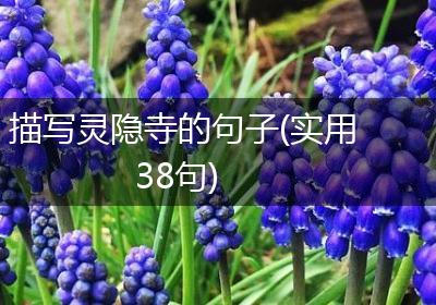 描写灵隐寺的句子(实用38句)