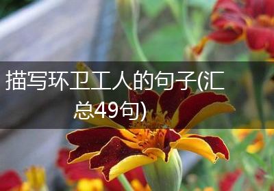 描写环卫工人的句子(汇总49句)