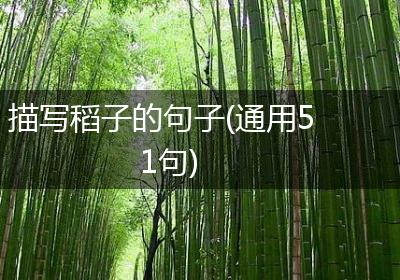描写稻子的句子(通用51句)