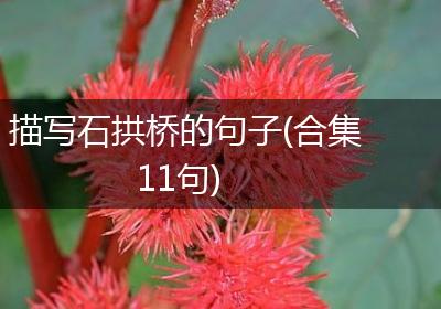 描写石拱桥的句子(合集11句)
