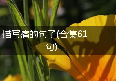描写痛的句子(合集61句)