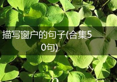 描写窗户的句子(合集50句)