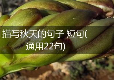 描写秋天的句子 短句(通用22句)