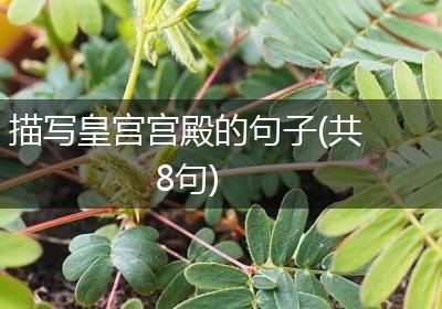 描写皇宫宫殿的句子(共8句)