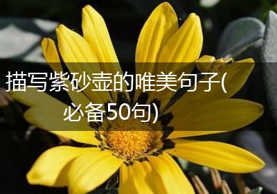 描写紫砂壶的唯美句子(必备50句)