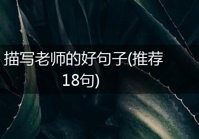 描写老师的好句子(推荐18句)