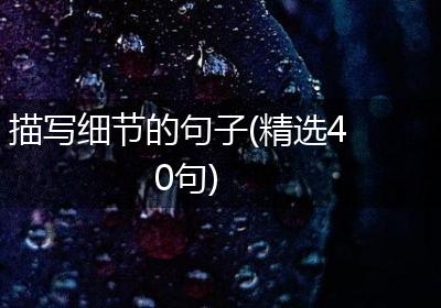 描写细节的句子(精选40句)