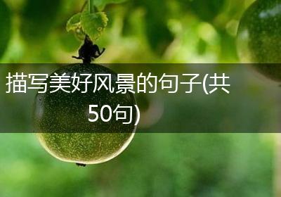 描写美好风景的句子(共50句)