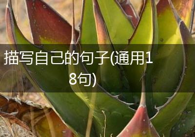 描写自己的句子(通用18句)