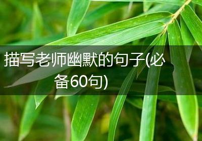 描写老师幽默的句子(必备60句)