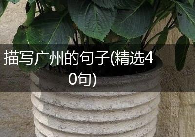 描写广州的句子(精选40句)