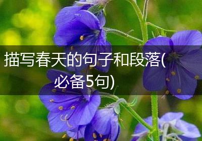 描写春天的句子和段落(必备5句)