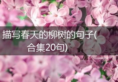 描写春天的柳树的句子(合集20句)