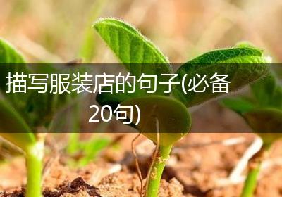 描写服装店的句子(必备20句)