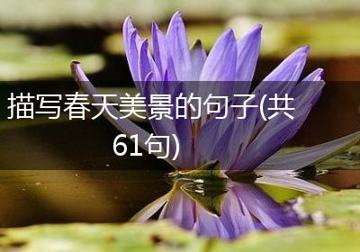 描写春天美景的句子(共61句)