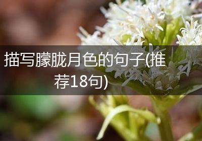 描写朦胧月色的句子(推荐18句)