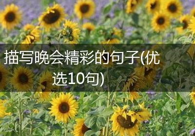 描写晚会精彩的句子(优选10句)