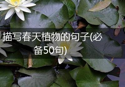 描写春天植物的句子(必备50句)