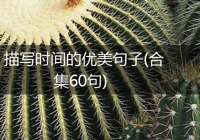 描写时间的优美句子(合集60句)