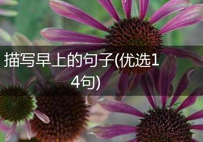 描写早上的句子(优选14句)