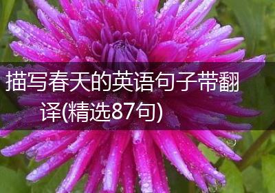 描写春天的英语句子带翻译(精选87句)