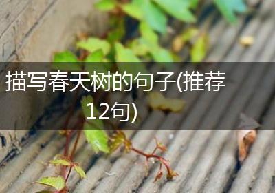 描写春天树的句子(推荐12句)