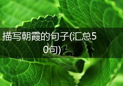 描写朝霞的句子(汇总50句)