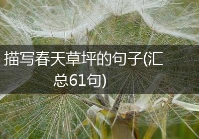 描写春天草坪的句子(汇总61句)