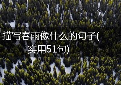 描写春雨像什么的句子(实用51句)