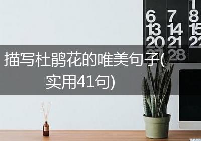 描写杜鹃花的唯美句子(实用41句)