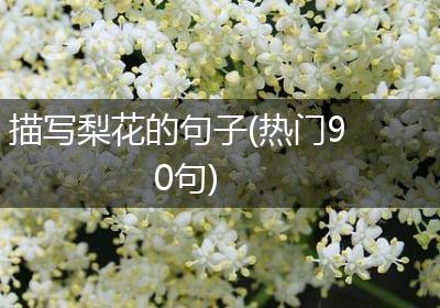 描写梨花的句子(热门90句)