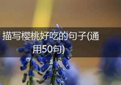 描写樱桃好吃的句子(通用50句)