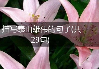 描写泰山雄伟的句子(共29句)
