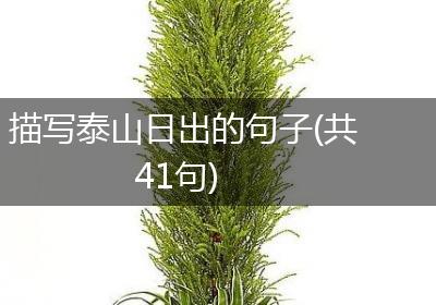 描写泰山日出的句子(共41句)