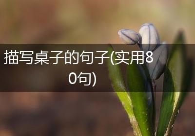 描写桌子的句子(实用80句)