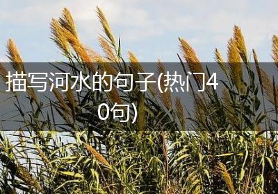 描写河水的句子(热门40句)
