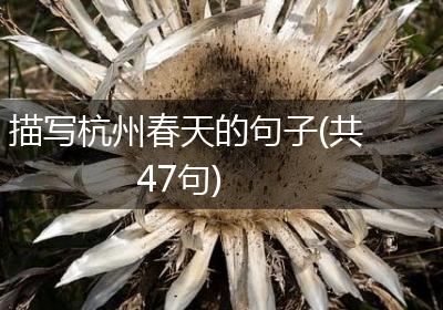 描写杭州春天的句子(共47句)