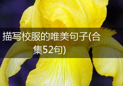描写校服的唯美句子(合集52句)