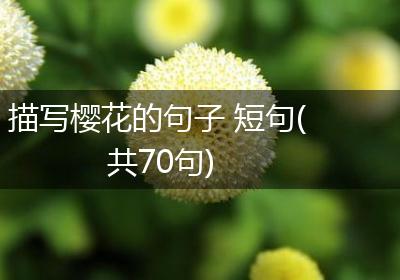 描写樱花的句子 短句(共70句)
