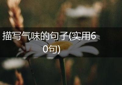 描写气味的句子(实用60句)