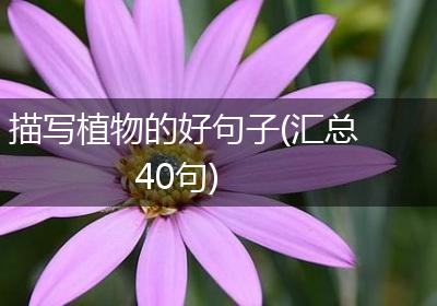 描写植物的好句子(汇总40句)