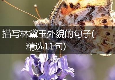 描写林黛玉外貌的句子(精选11句)