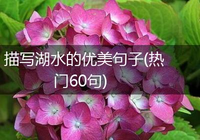 描写湖水的优美句子(热门60句)