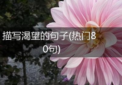 描写渴望的句子(热门80句)