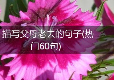 描写父母老去的句子(热门60句)