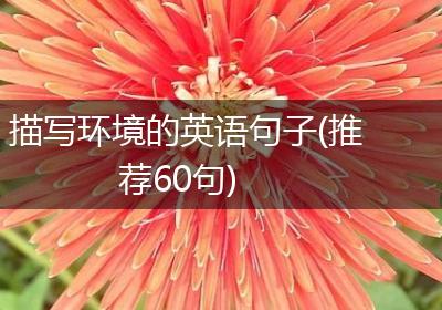 描写环境的英语句子(推荐60句)
