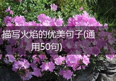 描写火焰的优美句子(通用50句)